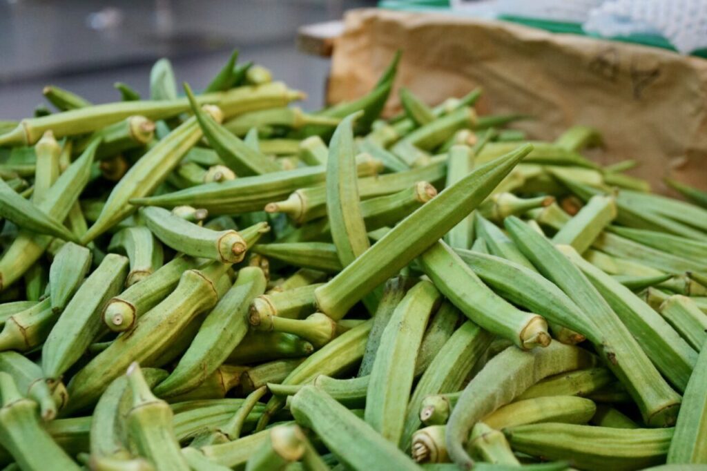 Okra, Abelmoschus esculentus, known in many English-speaking countries as ladies' fingers or ochro