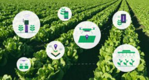 The Role of Robotics in Modern Nigerian Farming