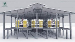 Poultry Farming Design for 1,000, 5,000, 6,000, and 10,000 Birds