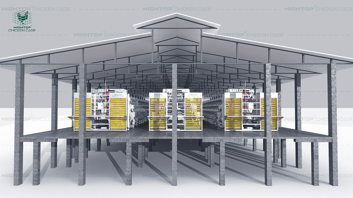 Poultry Rack Design Poultry Farming Design For 1000, 5000, 6000 And 10000 Birds