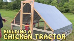 How to Build Chicken Tractor