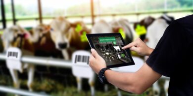 How AI Improve Livestock Management: Reducing Costs and Increasing Yields