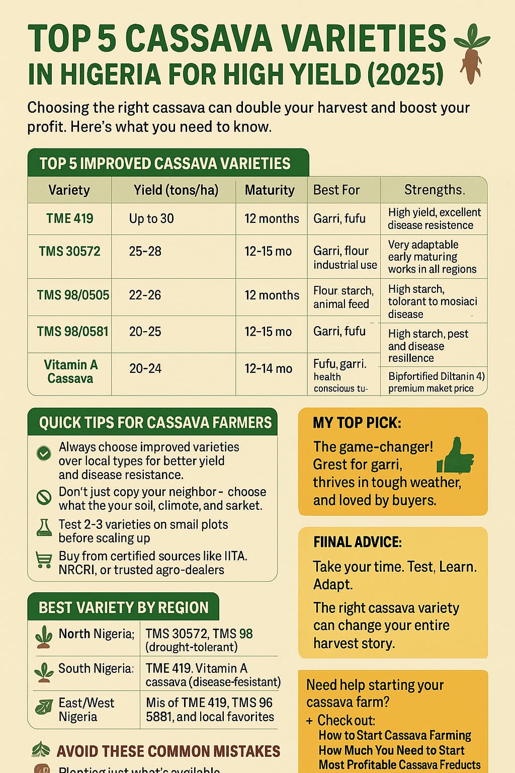 Best Cassava Variety In Nigeria For High Yields