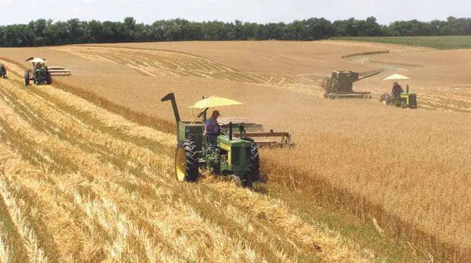 Combine harvester collecting ripe oats during the UK harvest season