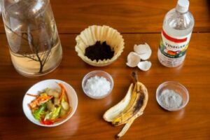 Homemade High Nitrogen Fertilizers: Eco-Friendly Recipes & Tips