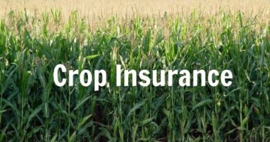 How Does Crop Insurance Work