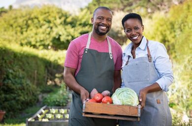 How Much Do Farmers Pay for Crop Insurance