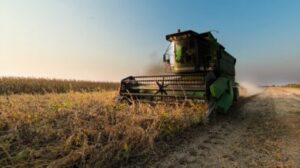Soybean Harvesting - How Are Soybeans Harvested