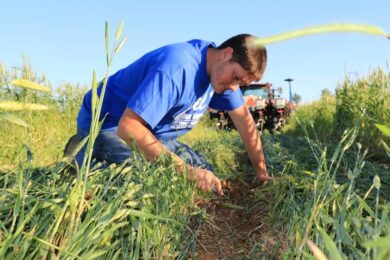 What Crops Are Covered By Crop Insurance