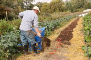 What Is The Most Important Thing In Farming