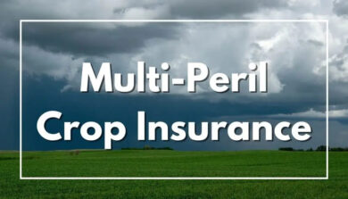 What Is the Most Common Type of Crop Insurance