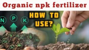 What is the best organic fertilizer with NPK