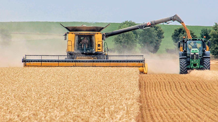 When is wheat harvested UK