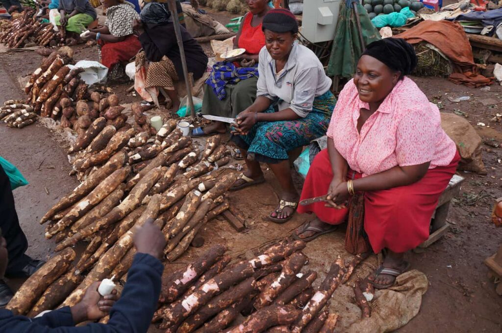 economic impact of Cassava in Nigeria