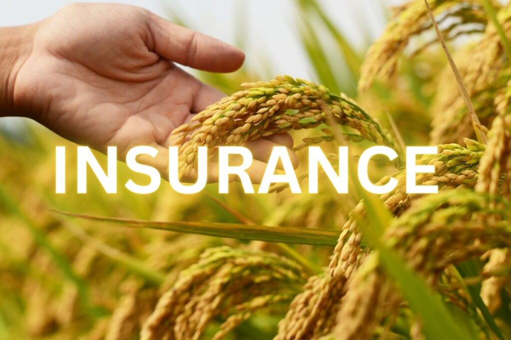 Is RCIS Crop Insurance Worth It? A Cost-Benefit Analysis for Farmers