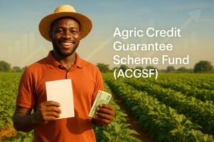 Step-by-Step Guide to Accessing CBN’s Agric Credit Guarantee Scheme Fund - ACGSF