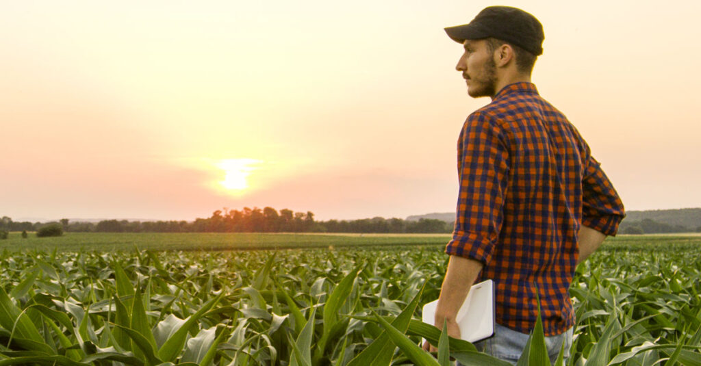 Top 5 Mistakes Farmers Make When Choosing Crop Insurance (And How RCIS Helps Avoid Them)