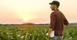 Top 5 Mistakes Farmers Make When Choosing Crop Insurance (And How RCIS Helps Avoid Them)
