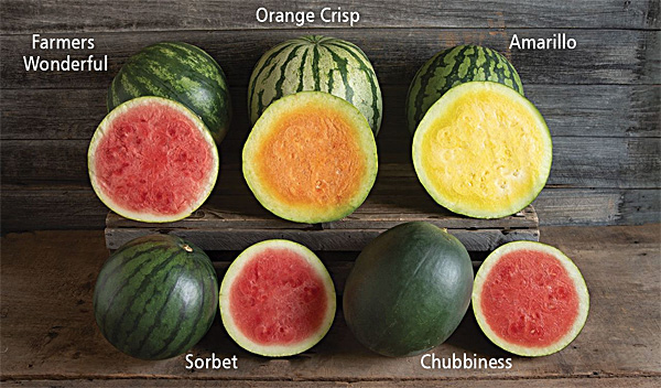 What are the varieties of watermelon in Nigeria