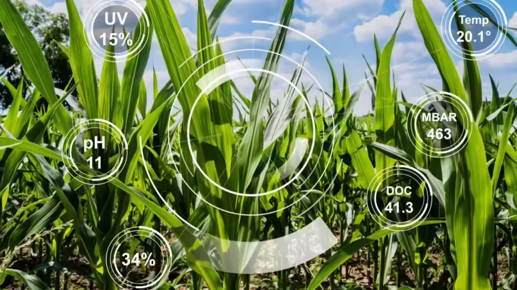 Cloud-Based Farming Tools: Benefits, Drawbacks, and Top Picks