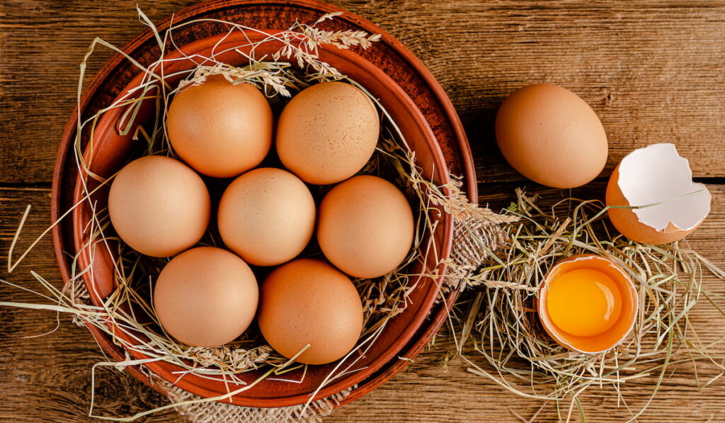 How Many Eggs Will 100 Chickens Lay A Day