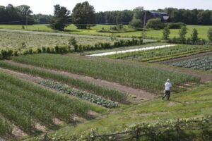 How to Get Into Regenerative Agriculture With Just 1 Acre
