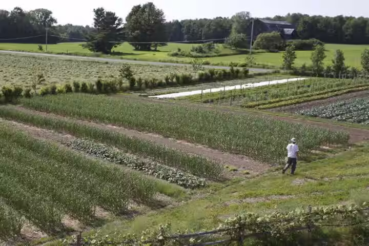 How to Get Into Regenerative Agriculture With Just 1 Acre