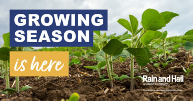 rain and hail crop insurance