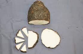 New method of planting yam