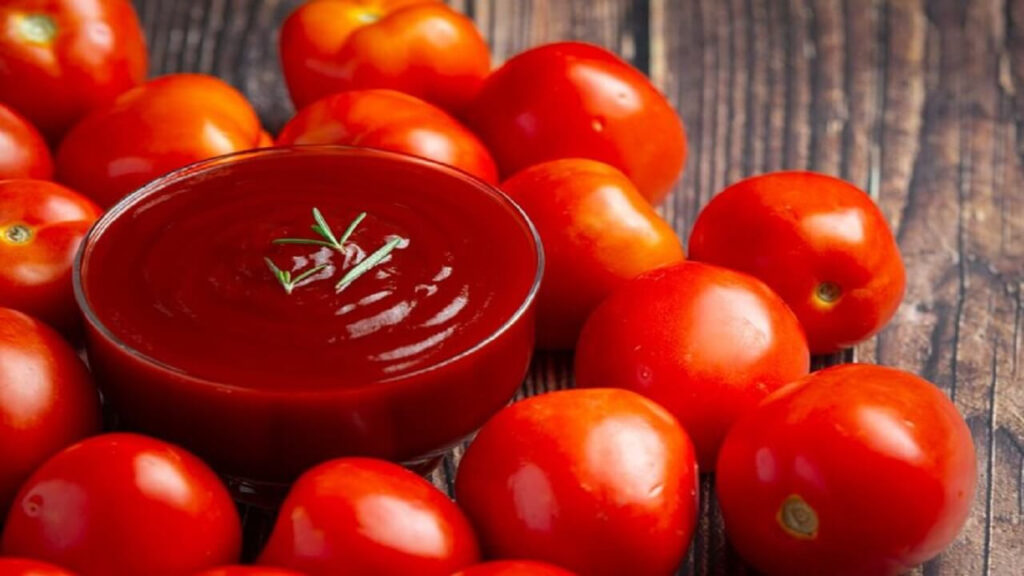 How to Start a Small-Scale Tomato Paste Production Business in Nigeria