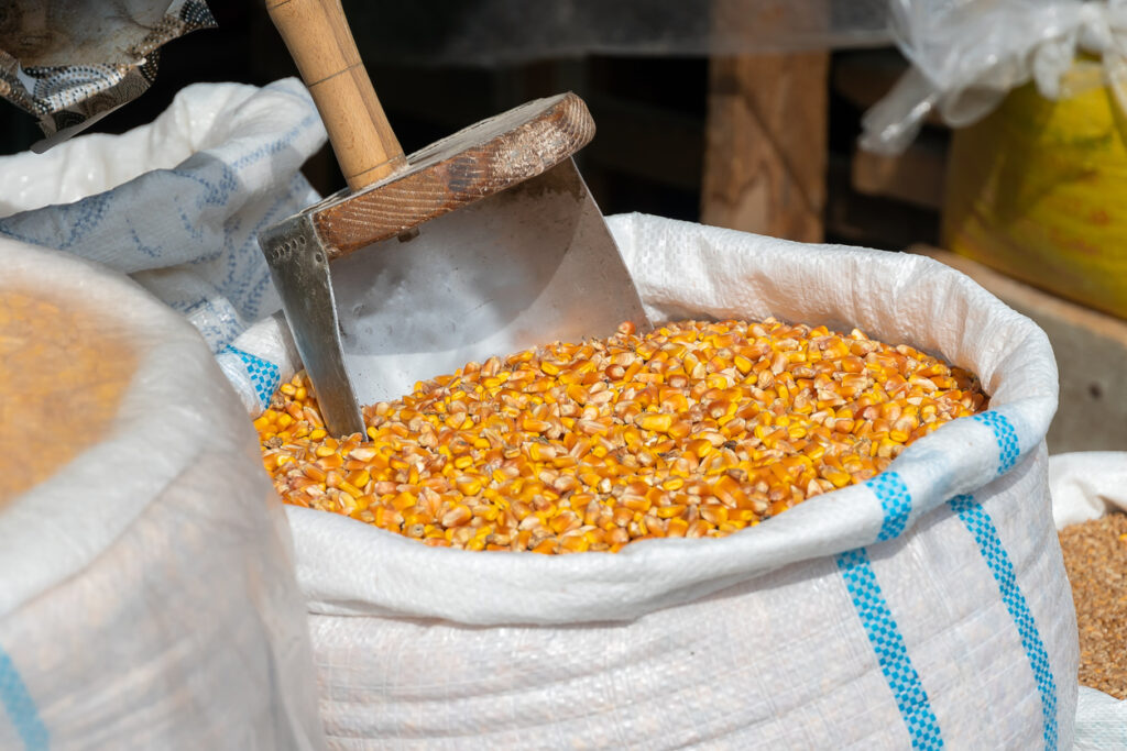 Maize Milling Business in Nigeria: 9 Steps to Start & Succeed with Double Profits