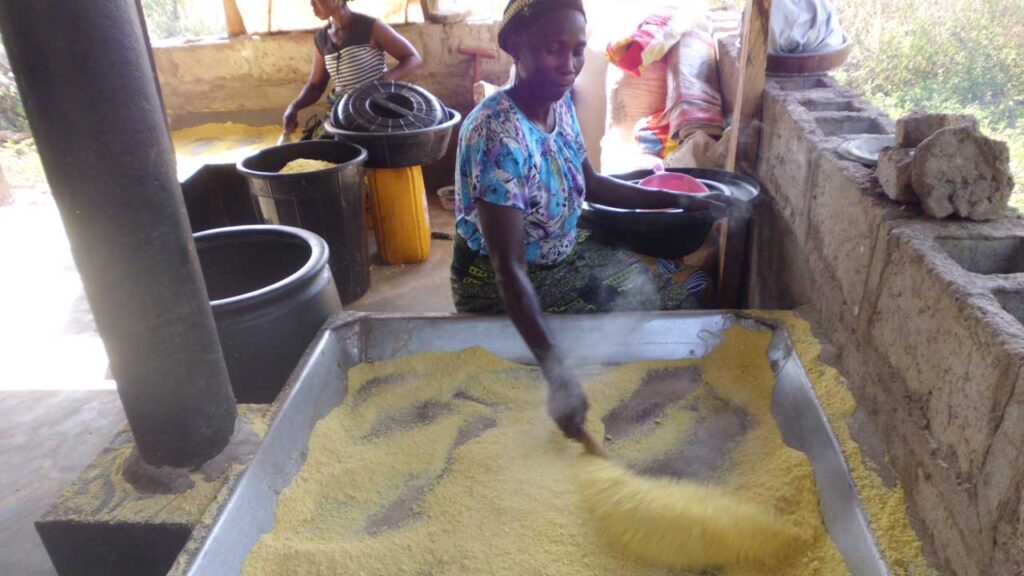 Profitable Cassava Processing Guide - Garri & Fufu Production in Nigeria