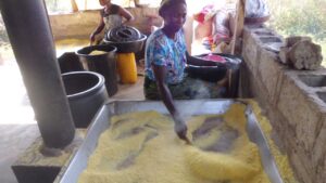 Profitable Cassava Processing Guide - Garri & Fufu Production in Nigeria