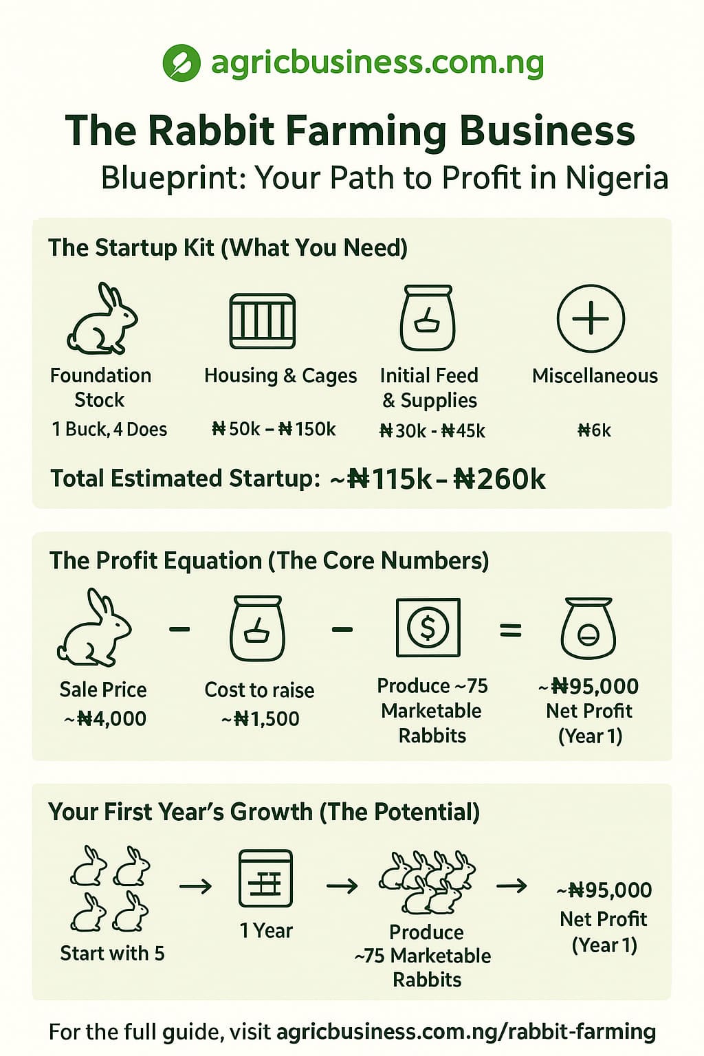 The Rabbit Farming Business Blueprint: Your Path to Profit in Nigeria